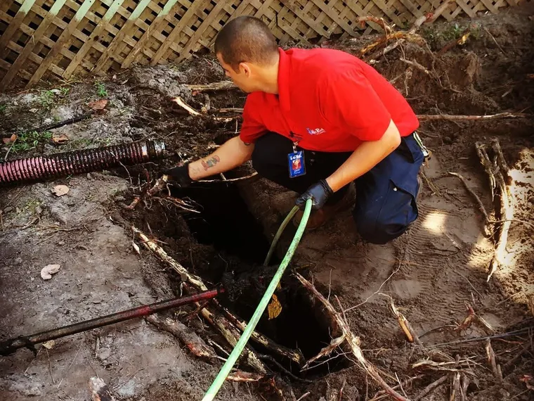 SepticRooter technician rodding tree roots out of a septic line