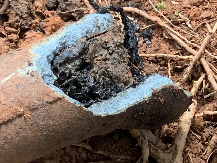 Cracked, root-filled septic pipe cross-section found during repair